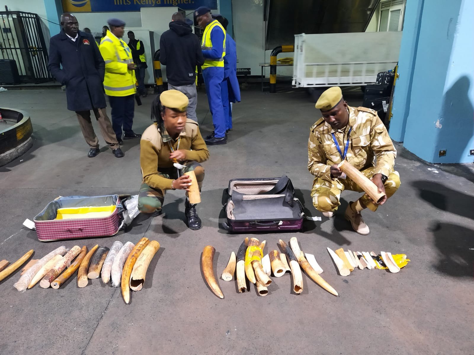 File image of KWS officers with seized ivory.